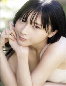 《蓝野梦》